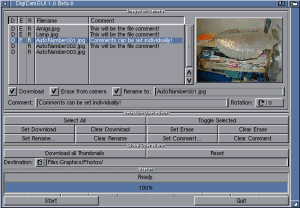 DigiCamGUI's GUI